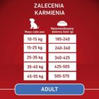 Purina, One, Adult, Beef & Rice, karma sucha dla psów ras średnich i dużych, 12 kg