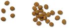 Purina Pro Plan, Veterinary Diets, JM Joint Mobility Formula, sucha karma dla psa, 12 kg