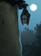 Rebel, Everdell: Stacja Nowoliść, dodatek do gry