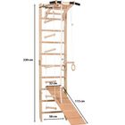 Rinagym, drabinka gimnastyczna, SPR A+slide, naturalny