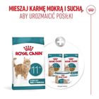 Royal Canin, FHN Cat Ageing 11+, karma sucha dla kotów, 2 kg
