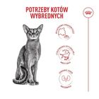 Royal Canin, FHN, Exigent Fussy, sucha karma dla kota, 4 kg