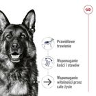 Royal Canin, SHN Maxi Ageing Loaf, 410g