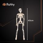 Ruhhy, szkielet, dekoracja, L, 40 cm, 26027