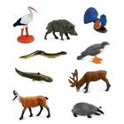 Safari Ltd, Toob, zestaw figurek, zwierzęta europejskie