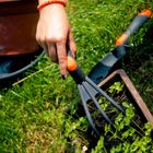 Saska Garden, pazurki, kultywator ogrodowy