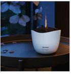 Sharp, aromatyzer powietrza, DF-A1E-W