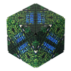 Shashibo, kostka magnetyczna, łamigłówka, Forest