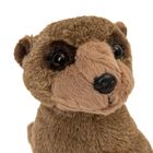 Smiki, Surykatka, maskotka, brązowa, 32 cm