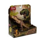 Smiki, T-Rex Midisaur