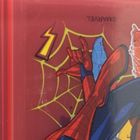 Spider-Man, Lunchbox XL z przegródkami