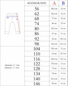 Spodnie dresowe chłopięce, szare, Nicol