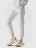 Spodnie dresowe damskie, szare, 4F