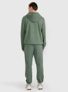 Spodnie dresowe męskie, zielone, 4F