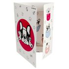 Starpak, teczka z gumką A4, minisy, 1 szt.