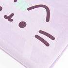 St.Majewski, Pusheen, pluszowy notatnik A5, 96 kartek, linia
