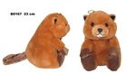 Sun-Day, Bóbr, maskotka, 23 cm