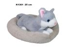 Sun-Day, Kot w legowisku, maskotka, 25 cm