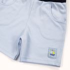 Szorty chłopięce, niebieskie, Eevi