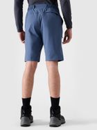 Szorty męskie, niebieskie, 4F