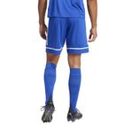 Szorty męskie, niebieskie, Adidas Squadra