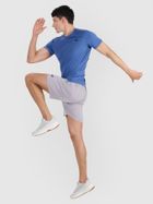 Szorty męskie, szare, 4F