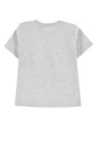 T-shirt chłopięcy, beżowy, Tom Tailor