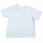 T-shirt chłopięcy, szary, Tom Tailor