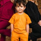 T-shirt dziecięcy, musztardowy, Eevi