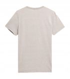 T-shirt męski, beżowy, 4F