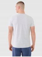 T-shirt męski, szary, 4F