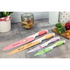 Tadar, nóż do owoców, 9 cm, Kolorino