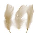 Titanum, Craft-fun, piórka dekoracyjne, beżowe, 16g