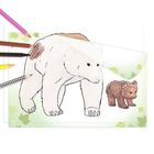 Top Model, kolorowanka-kopiowanka, zwierzęta