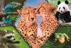 Trefl, Animal Planet, Piękno natury, puzzle, 100 elementów