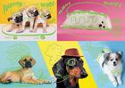 Trefl, Neon Color Line, Odlotowe psy, puzzle, 1000 elementów