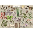 Trefl, Premium Plus, Finders Keepers, Przyprawy, puzzle, 500 elementów