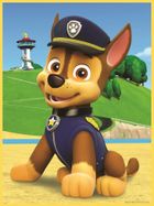 Trefl, Primo, Psi Patrol, Drużyna Paw Patrol, puzzle maxi, 2-10 elementów