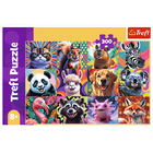 Trefl, Zabawne portrety zwierząt, puzzle, 300 elementów
