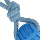 Trik&Roll, zabawka dla psa, szarpak z piłką, niebieski, 20 cm