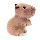 Trudi, maskotka, kapibara, S