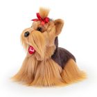 Trudi, Pies Yorkshire Terier, maskotka, S