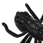 Value Toys, Insekty, pająk