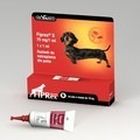 Vet-Agro, Fiprex Spot-On S, preparat do zwalczania kleszczy, pcheł i wszy u psów, 2-10 kg, 1 szt.