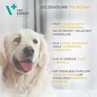 Vetexpert, Multivitamin, suplement dla psa, 30 kapsułek