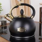 Vilde, czajnik z gwizdkiem, stalowy, czarny, 3l