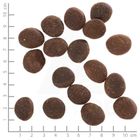 Wolfsblut, Polar Night, karma sucha dla psów, 12,5 kg