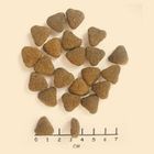 Wolfsblut, Wide Plain, Adult, sucha karma dla psa, horse/sweet potato, 2kg