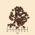 Wolfsblut, Wide Plain Small, sucha karma dla psa, horse/sweet potato, 2kg