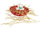 Yeti in my spaghetti, gra familijna